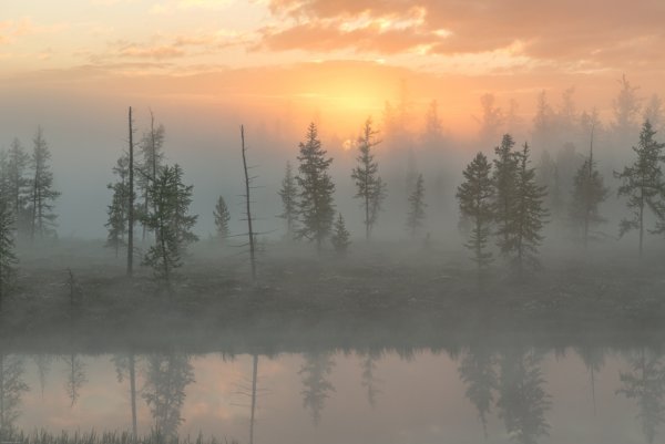 Штат Аляска зима