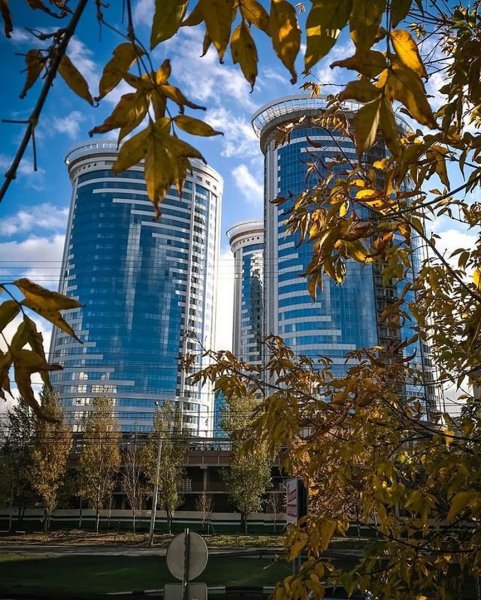 Новосибирск любимый город