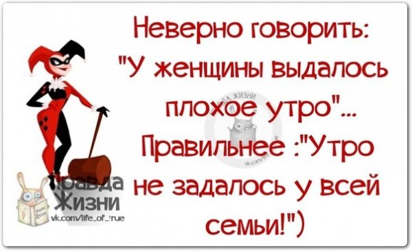 День не задался с самого утра картинки прикольные
