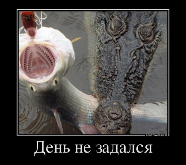 Демотиваторы позитивные смешные