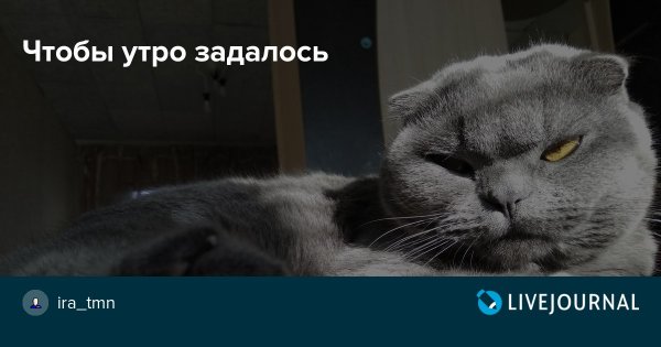 Когда утро задалось