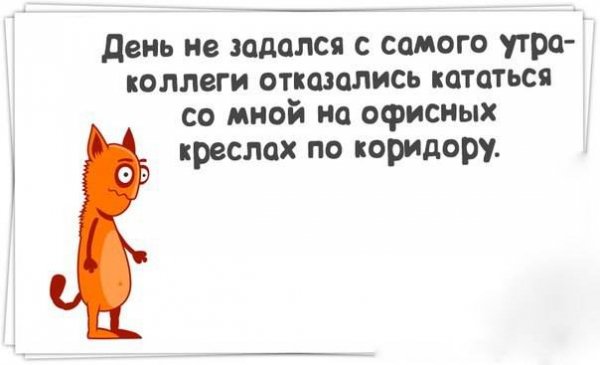 День не задался с самого утра картинки прикольные