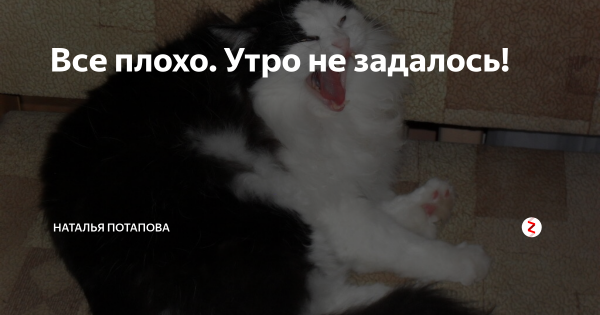 Утро не задалось картинки