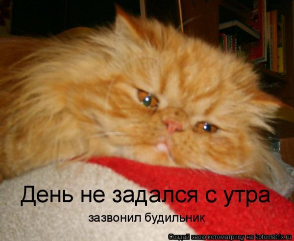 Утро задалось