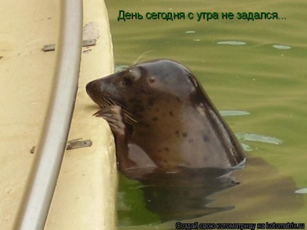 Высказывания про коллег