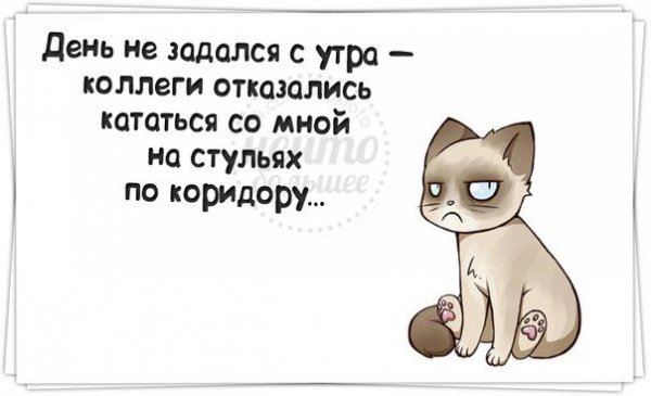 Когда утро не задалось картинки