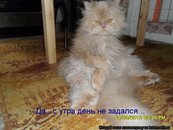 Утро не задалось картинки