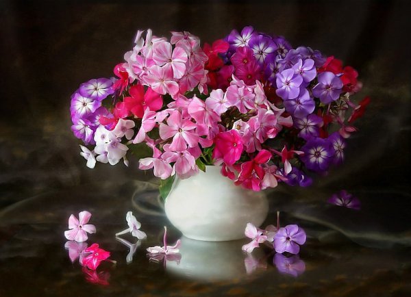 Флоксы в вазе
