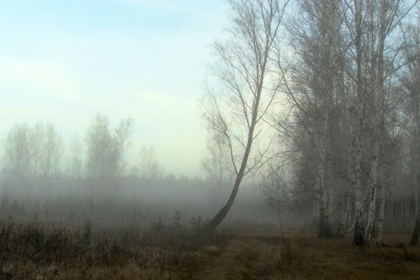 Седое утро