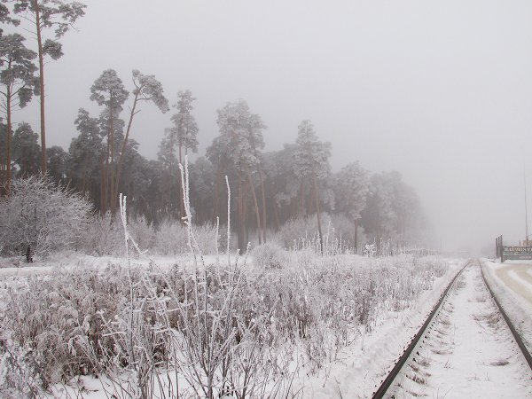 Седое утро