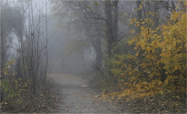 «Утро туманное, утро седое».Автор