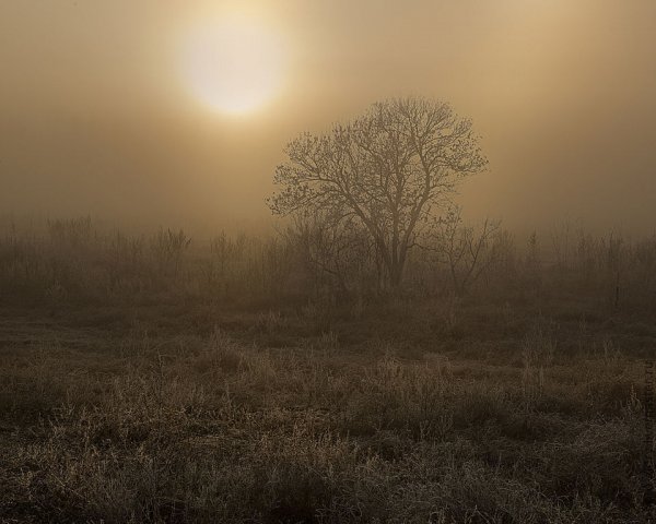 Утро туманное утро седое