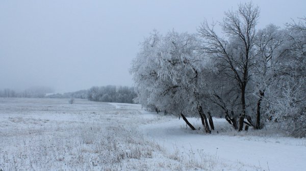 Седое утро