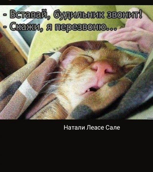 Вставай будильник звонит