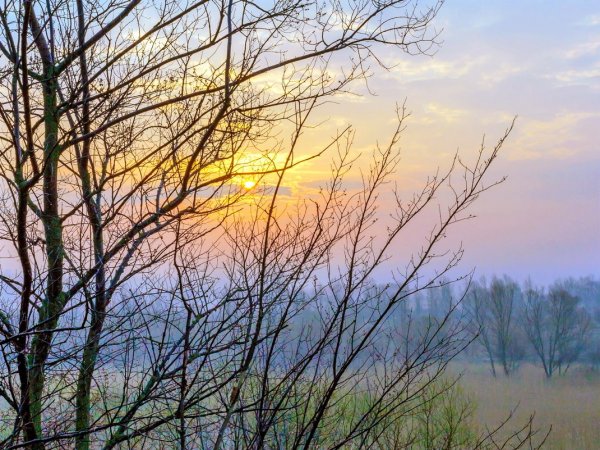 Ранняя Весна утро солнце