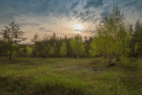 Утро в апреле фото