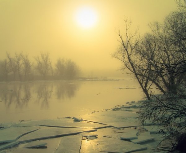 Ранняя Весна солнце