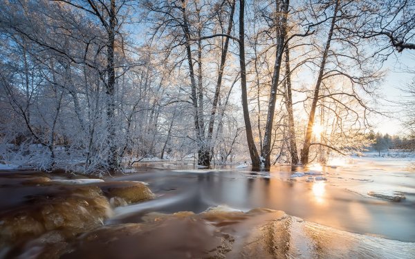 Март природа