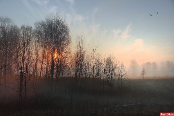 Утро апрель