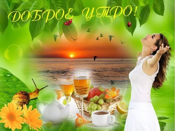 Доброго летнего утра и хорошего дня