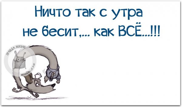 Когда на работе все бесят