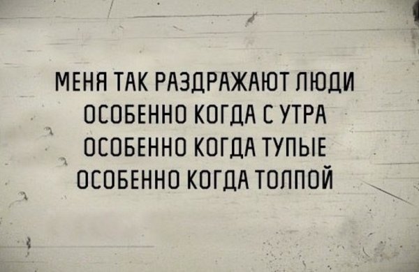 Люди бесят прикол