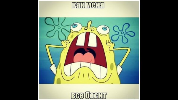 Как все бесит