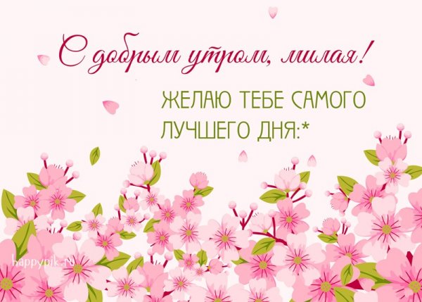Утро четверга