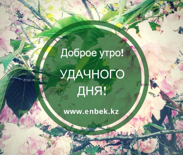 Доброе утро четверга прикольные