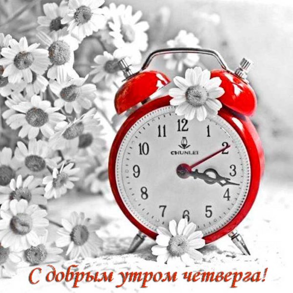 Забавные открытки с добрым утром