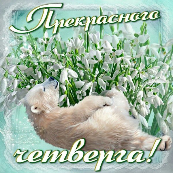 Доброго утра четверга и удачного дня