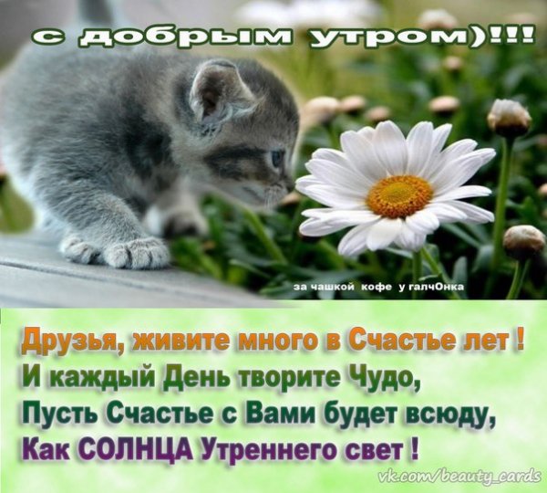 Доброе утро четверг позитив