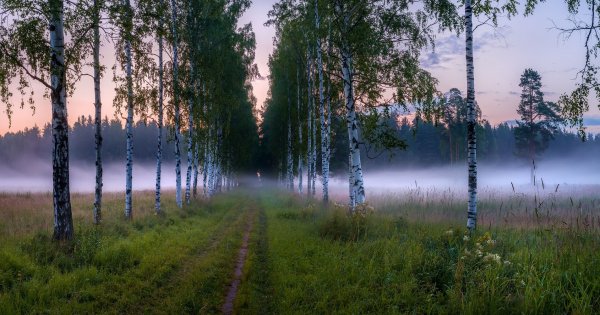 Федор Лашков Павловск