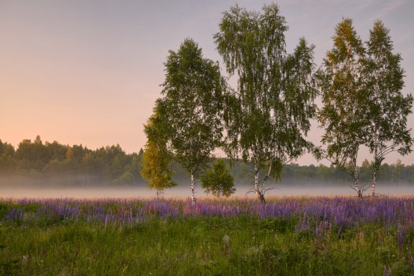 Русская природа