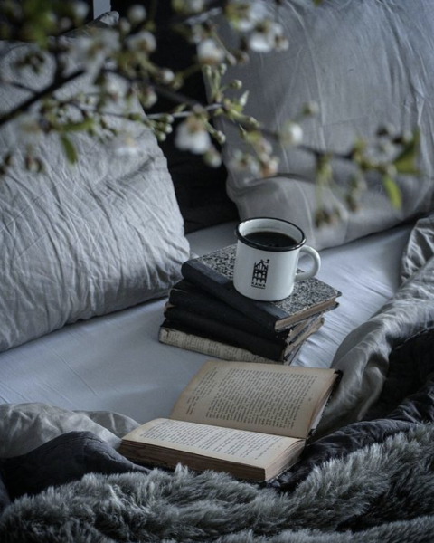 Утро с книгой