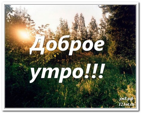 Для вацапа картинки доброе утро