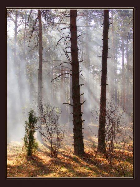 Лучистого утра