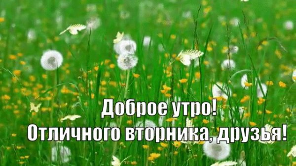 Доброе утро вторника