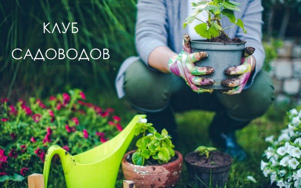 Садоводство цветоводство