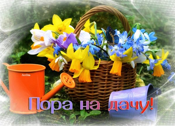 Поздравления с началом дачного сезона