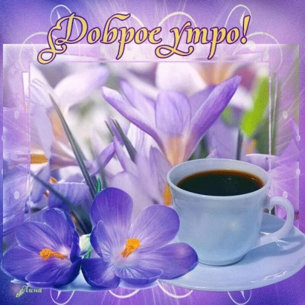 Открытки бодрого утра