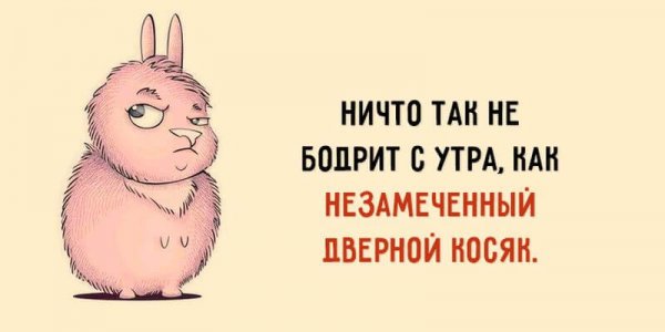 Бодрое утро прикол