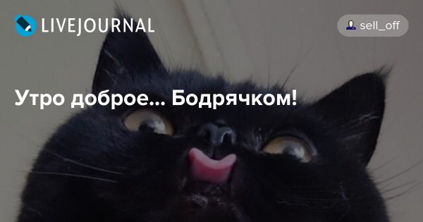 Бодрячок с утра