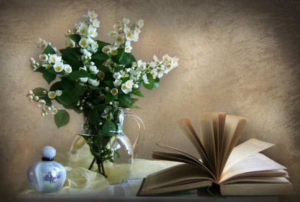 Красивый букет цветов с книгой