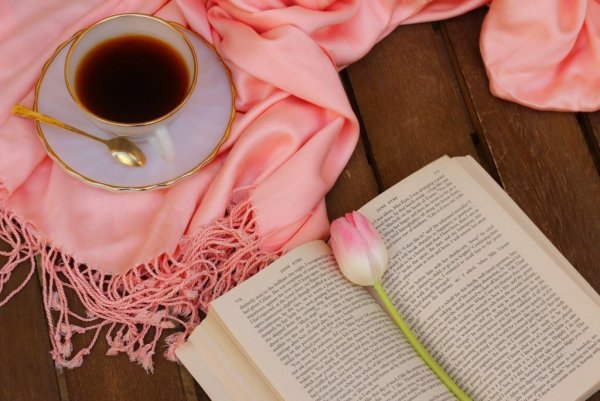 Книга «чай»
