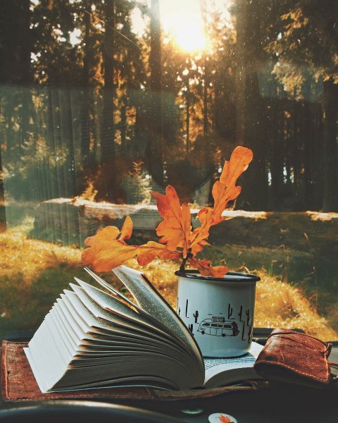 Книги про осень