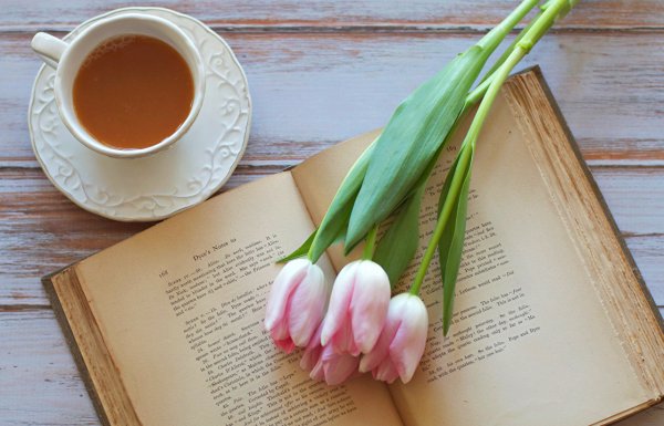 Книга цветы