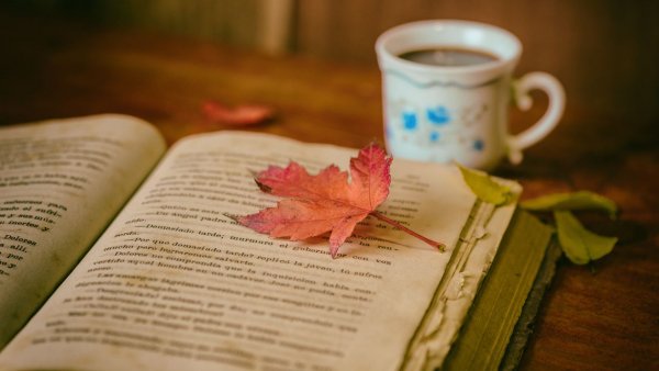 Лист книги