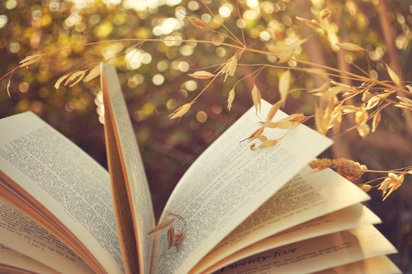 Книга для…