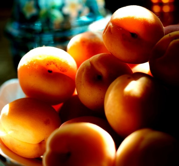Картинка абрикосовое утро (40 фото)